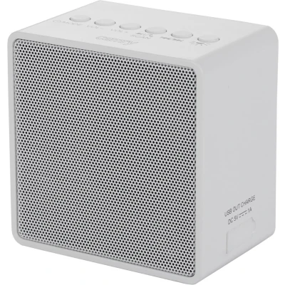Afbeelding van Camry Compacte Bluetooth Radio CR 1165