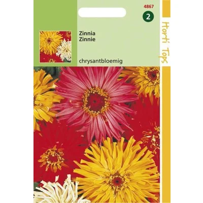 Afbeelding van Zinnia Chrysanthbloemig gemengd