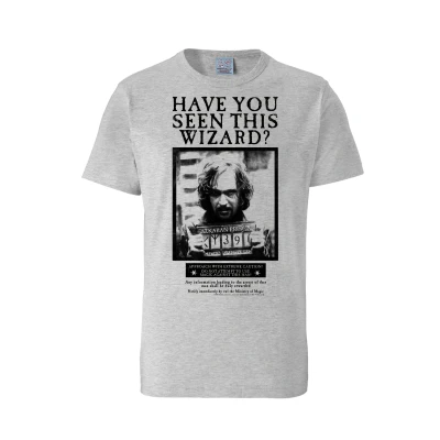 Afbeelding van Harry Potter Have You Seen This Wizard Easyfit grey melange Original licensed product