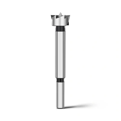 Afbeelding van Forstnerboor 16 mm voor hout, Forstner bits diameter mm, lengte 90 met 8 ronde schacht