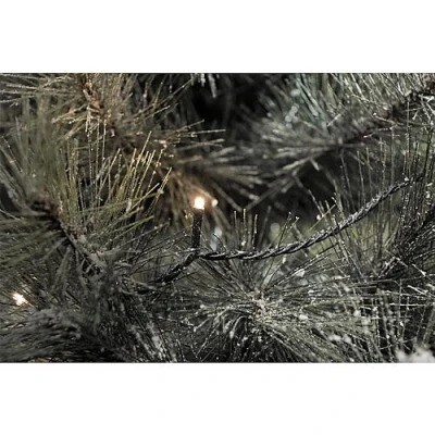 Afbeelding van Konstsmide 3648 110 Micro lichtketting Buiten Energielabel: F (A G) werkt op het lichtnet Aantal lampen 1000 LED Warmwit Verlichte lengte: 69.93 m