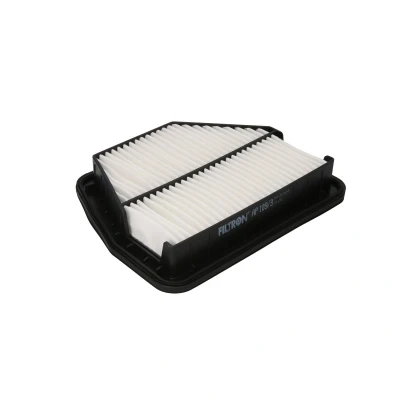 Afbeelding van Filtron Luchtfilter AP 109/3