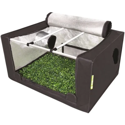 Afbeelding van Probox Propagator Medium incl. LED verliching (80x60x40 cm) BTT