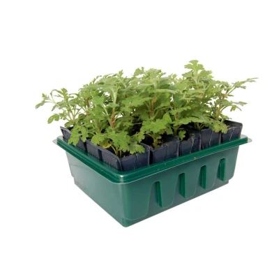 Afbeelding van Kweektray Deep Rootrainers
