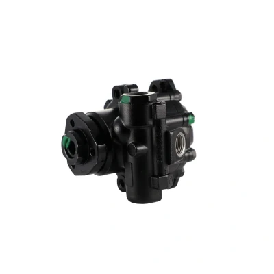 Afbeelding van Lauber Servopomp 55.9123