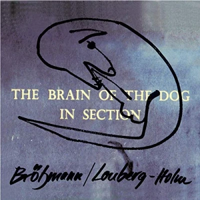 Afbeelding van Peter Brötzmann &amp; Fred Lonberg Holm The Brain Of Dog In Section (CD)