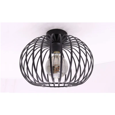 Afbeelding van Plafondlamp zwart metaal 30cm