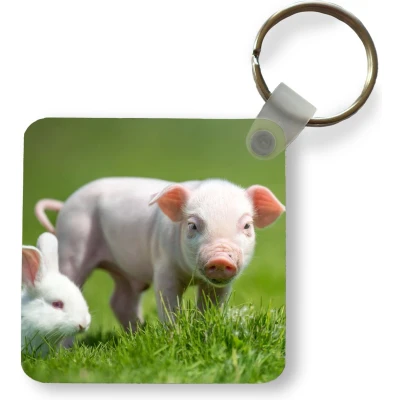 Afbeelding van Sleutelhanger Uitdeelcadeautjes Biggetje Konijn Dieren Plastic