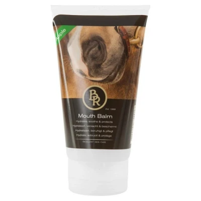 Afbeelding van BR Mondbalsem appel 150ml. 150 ml 1 Kleur