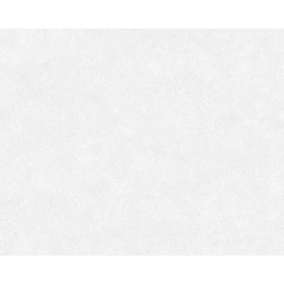 Afbeelding van AS Creation Beton Behang 36206 1 / 362061 Wit