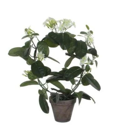 Afbeelding van Stephanotis Kunstplant in Bloempot Stan H50 x Ø40 cm Wit