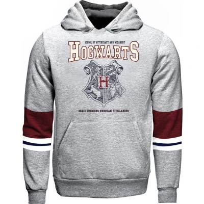 Afbeelding van Harry Potter Hogwarts Crest Sweatshirt Grijs 10 jaar