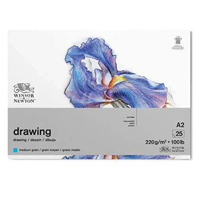 Afbeelding van Winsor &amp; Newton 6689749 tekenpapier in blok 25 vellen A2, 220 g/m², gemiddelde korreling, natuurlijk wit, zuurvrij, bestand tegen veroudering, ideaal voor potlood, kleurpotlood, pastel en kolen