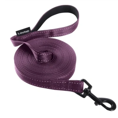 Afbeelding van Loutep Reflecterende Training Lood voor Honden 3 m 5 10 15 20 25 30 Sterke Nylon Touw Extra Lange Lijn Hond Met Gewatteerde Handvat Grote Medium Kleine Puppy Recall Huisdier