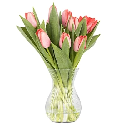 Afbeelding van TREND FOR HOME glazen vaas 18 cm bloemenvaas voor tulpen transparante longitudinale strepen knopvaas vazen bloemen eettafel 11 1229 ml Lyra Luminous