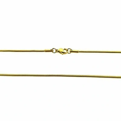 Afbeelding van Stalen Slangenketting Goudkleurig