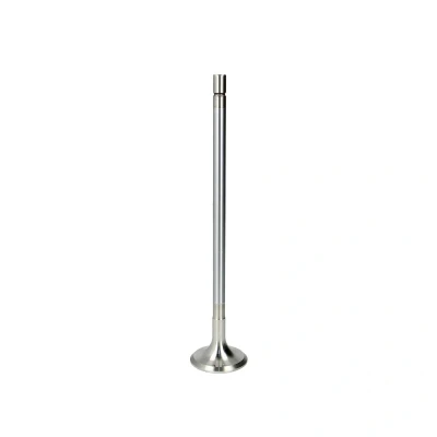 Afbeelding van Mahle Original Uitlaatklep 209 VA 31297 000