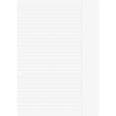 Afbeelding van Brunnen 1066945 ringbandinleg A4 (gelinieerd met rand, liniatuur 25, 100 vellen, 70 g/m²)