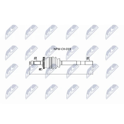 Afbeelding van Aandrijfas NTY NPW CH 019