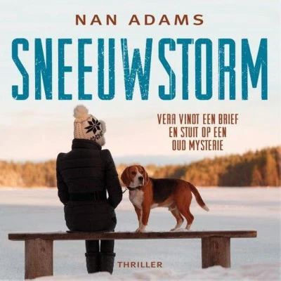 Afbeelding van Sneeuwstorm