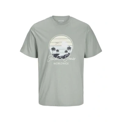 Afbeelding van Jack &amp; Jones Gedruckt Tshirt print, Heren, Maat: Large, Iceberg green