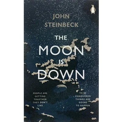 Afbeelding van The Moon is Down
