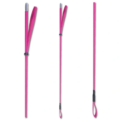 Afbeelding van Waldhausen Rijzweep Roze Rijbenodigdheden 75 cm