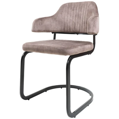 Afbeelding van Home67 Eetkamerstoel Fox Taupe 08 Vintage Velvet