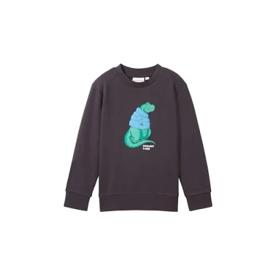 Afbeelding van TOM Tailor MIT Print Sweater voor kinderen, Maat: 92/98, Coal grey