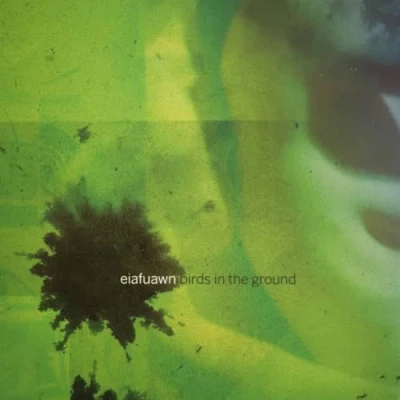 Afbeelding van Eiafuawn Birds In The Ground (CD)
