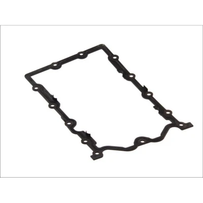Afbeelding van Elring Carterpakking 485.960
