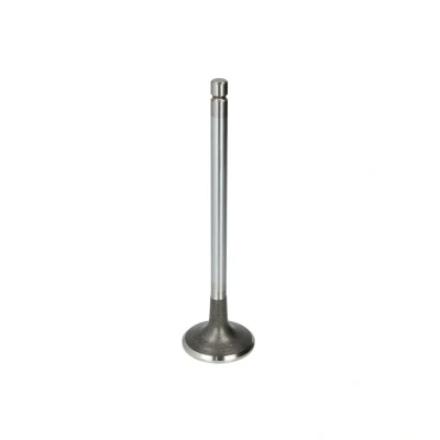 Afbeelding van TRW Engine Component Uitlaatklep 105 35620