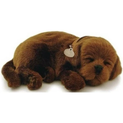 Afbeelding van Knuffel Perfect Petzzz soft hond Chocolate Lab