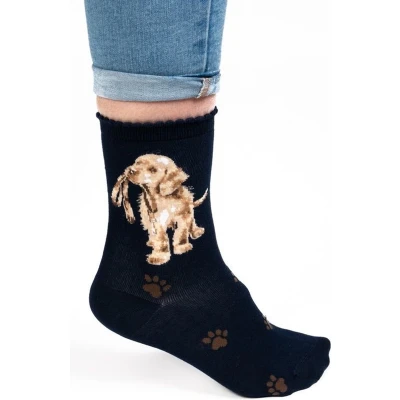Afbeelding van Wrendale Sokken Hond (Blauw) &#039;Hopeful&#039; Labrador Socks