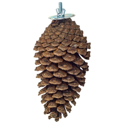 Afbeelding van Back Zoo Nature Foraging Pine Cone Vogelspeelgoed per stuk