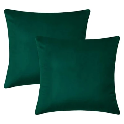 Afbeelding van Hafaa Groene Kussenhoezen 45 x cm, Set Van 2 Vierkante Sierkussenhoezen Geplet Fluweel Decoratieve Slaapkamer ussensloop voor slaapkamerbank met onzichtbare ritssluiting (18 18 inch)