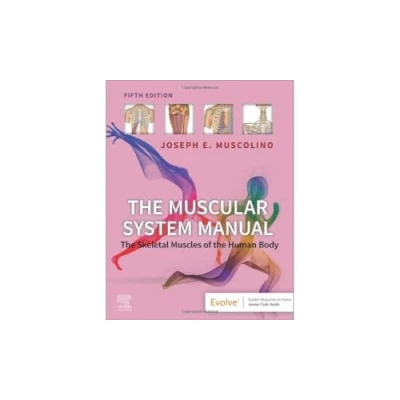 Afbeelding van the Muscular System Manual: Skeletal Muscles of Human Body