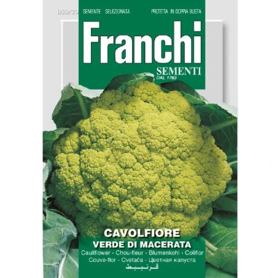 Afbeelding van Bloemkool, Cavolfiore Verde de Macerata