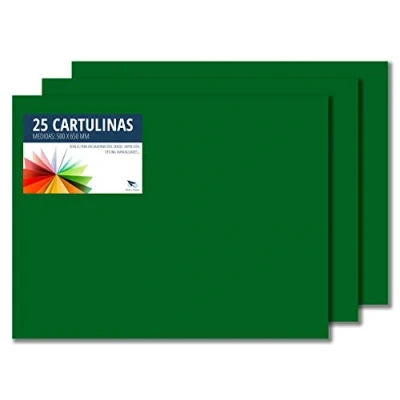 Afbeelding van Raylu Paper® 50 x 65 cm, 25 stuks, 180 g/m², ideaal voor knutselwerk, kantoor, tekenen, papyroflex (junglegroen)