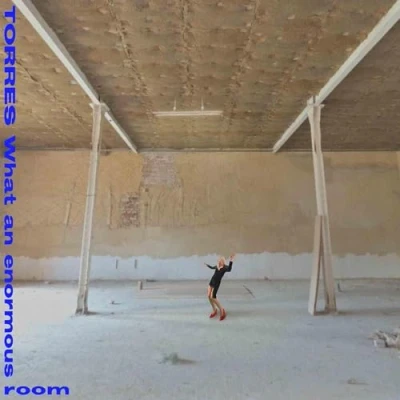 Afbeelding van Torres What An Enormous Room (CD)