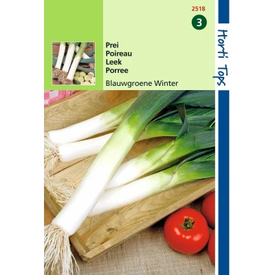 Afbeelding van 2 stuks Hortitops Prei Blauwgroene Winter, Sel. Hiverbleu
