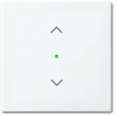 Afbeelding van ABB Busch Jaeger FreeAtHome Bedieningselement/Centrale Plaat Schakelmateriaal 2CKA006220A0357 E379S