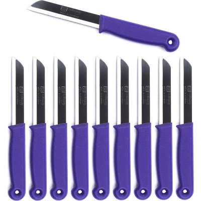 Afbeelding van Solingen Schilmesje RVS Glad 18,5 cm met &quot;Blade Cover&quot; Paars 500 Stuks