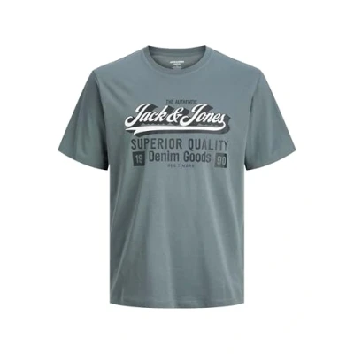 Afbeelding van JACK &amp; JONES Jjelogo Tee Ss Oneck 2 Col Aw25 Noos Pls Plus Size