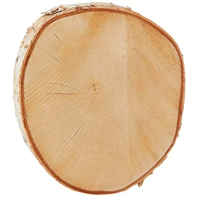 Afbeelding van Rayher Decoratie boomschijf met schors berkenhout D26 cm Hobby/Knutselen Kaarsenplateau rond