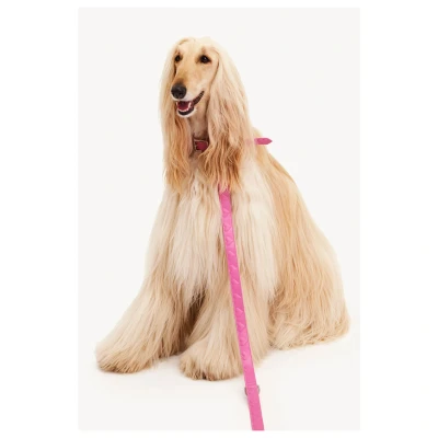Afbeelding van Dogguo Heart Leash Hondenriem Roze S