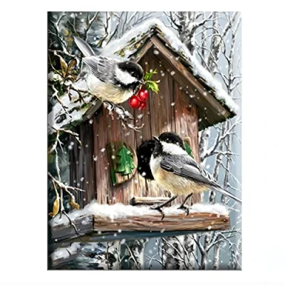 Afbeelding van Cukol Birds kruissteek kits voor volwassenen, gemakkelijk geteld, voorbedrukt, gestempeld volwassenen UK, 11ct 11 Count patronen set, hand borduurwerk