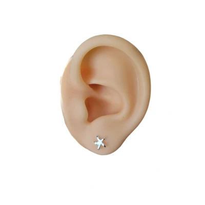Afbeelding van oorbellen dames oorstekers sieraden zilverkleurig knopjes set ster oDaani