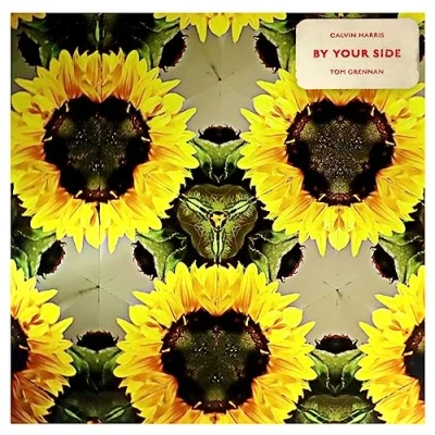 Afbeelding van By Your Side (Picture LP)