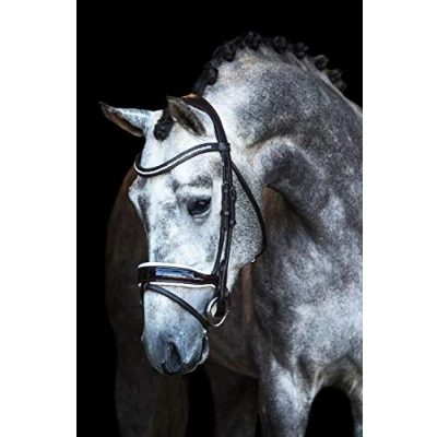 Afbeelding van Premiera &quot;Verona&quot; bruin anatomisch hoofdstel met wit onderlegde neusriem